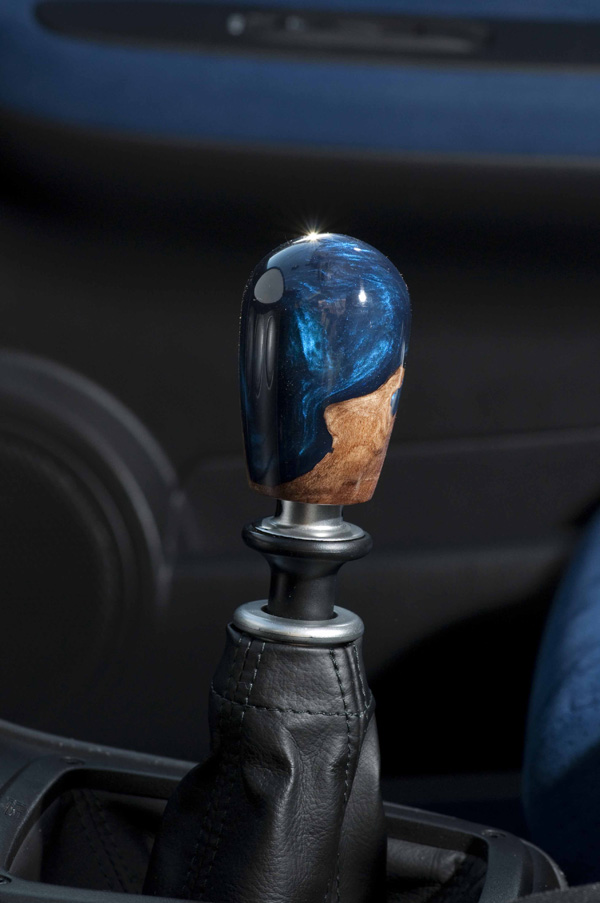 Custom Knob 12